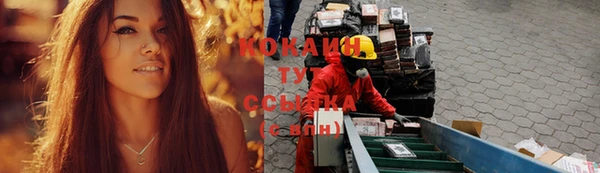apvp Осинники