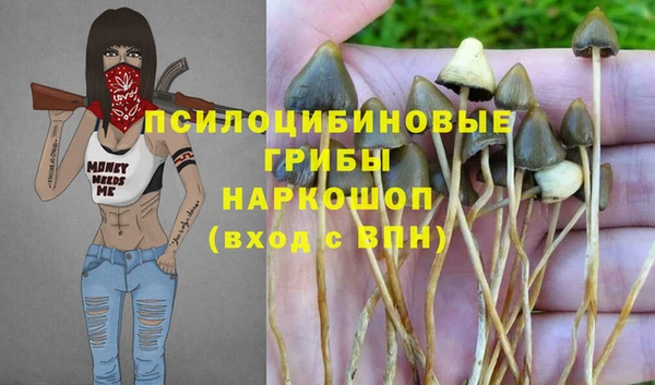 apvp Осинники