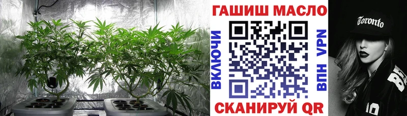 купить закладку  Майкоп  darknet какой сайт  ТГК гашишное масло 