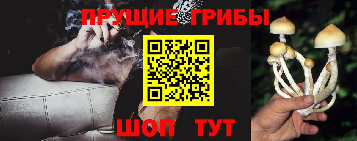 Псилоцибиновые грибы прущие грибы Майкоп