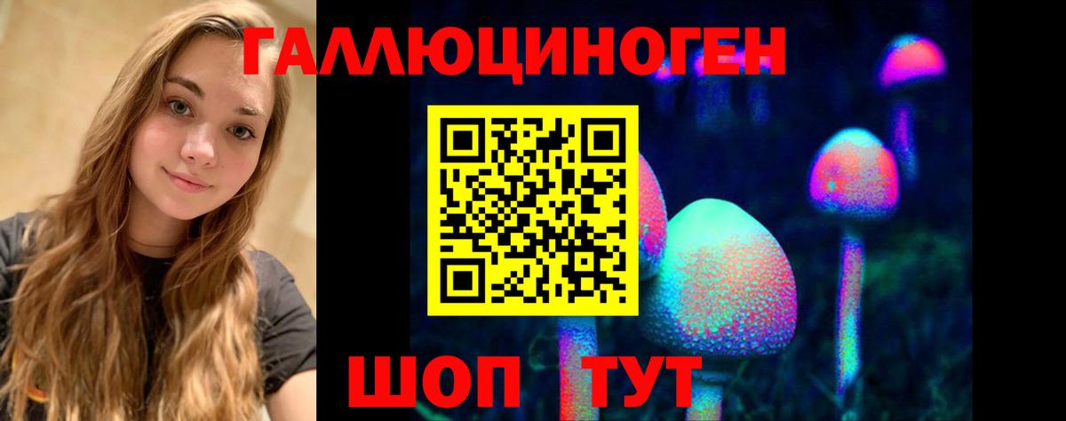 Майкоп  магазин продажи   Вход с VPN  Галлюциногенные грибы Magic Shrooms 